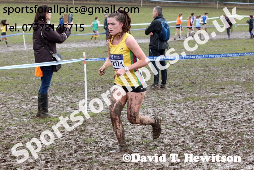 Womens under-17s 2018 British Inter Counties Cross Country Champs., Prestwold Hall, Loughborough. Photo: David T. Hewitson/Sports for All Pics